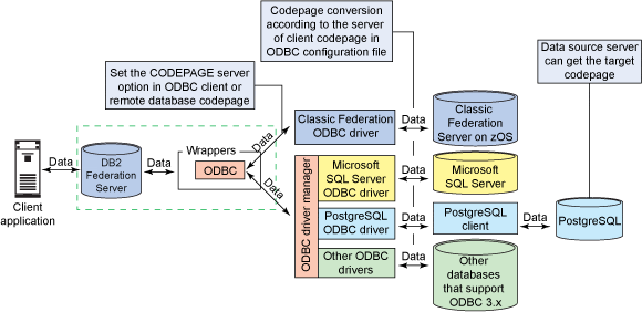  Web Database