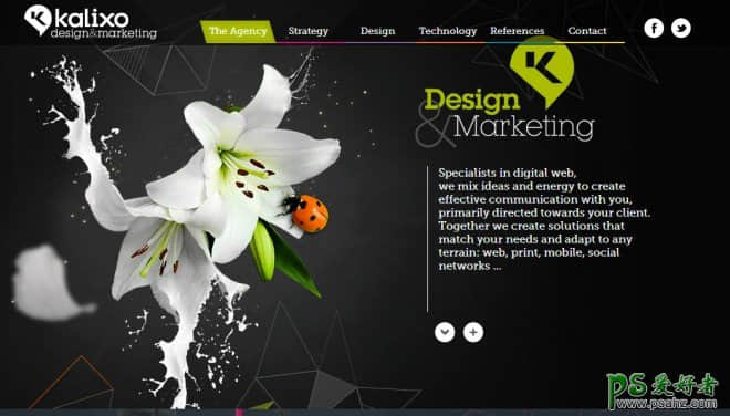  Web Design 