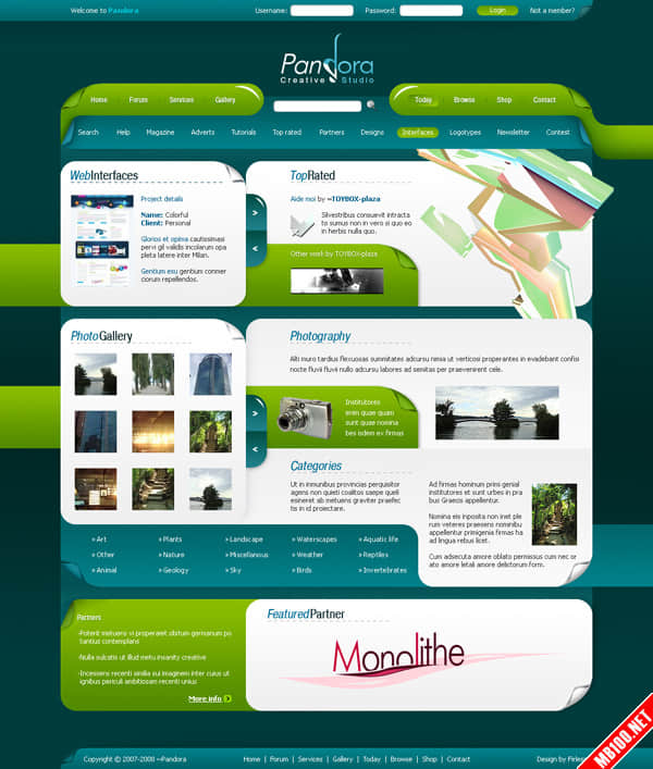  Website Design