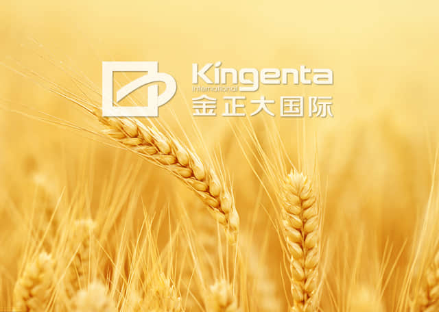  Jinzhengda Ecological Engineering Group Co., Ltd